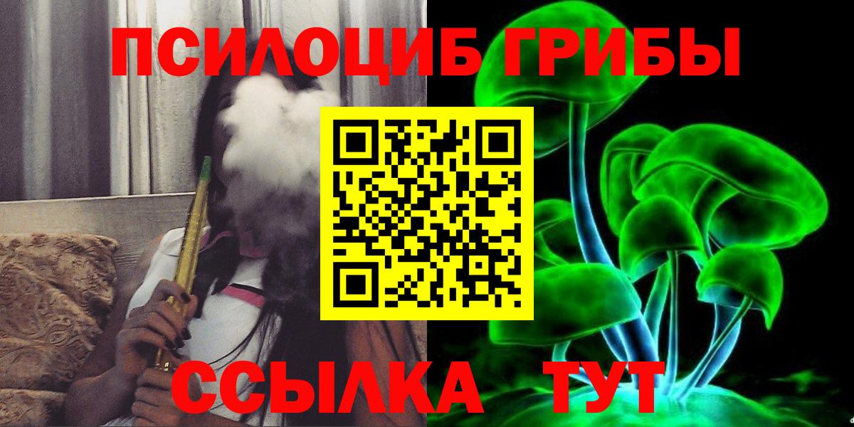 Галлюциногенные грибы Psilocybe Орехово-Зуево